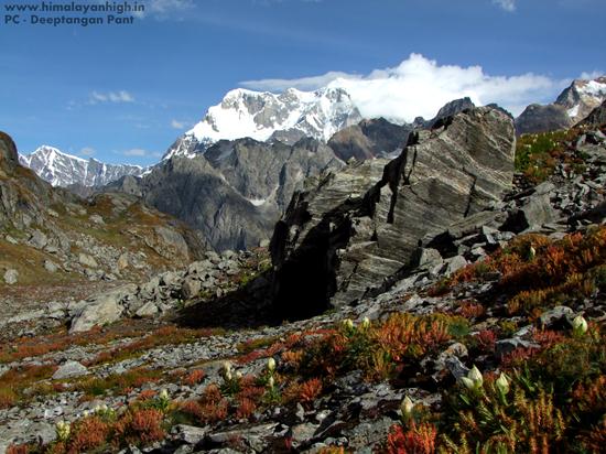 chaukhamba from nandikund