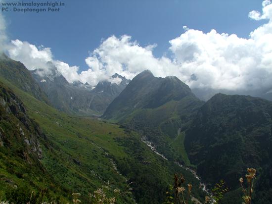 nandadevi junior in greens