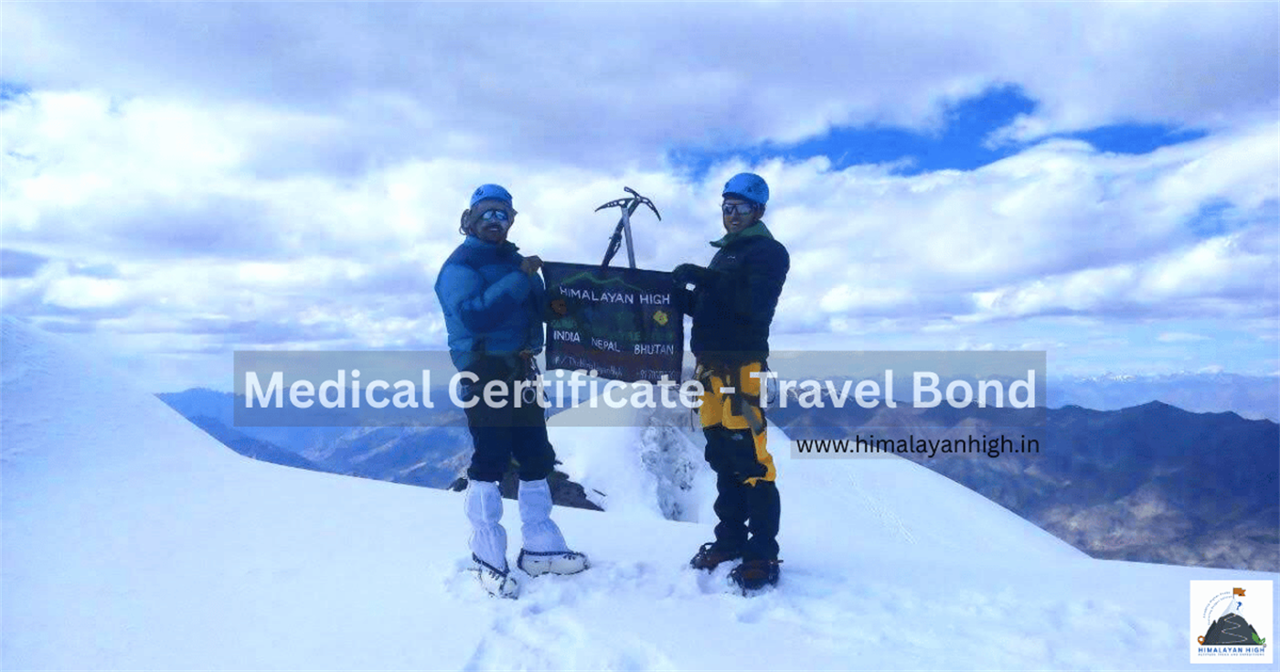 Medical Certificate & Travel Disclaimer