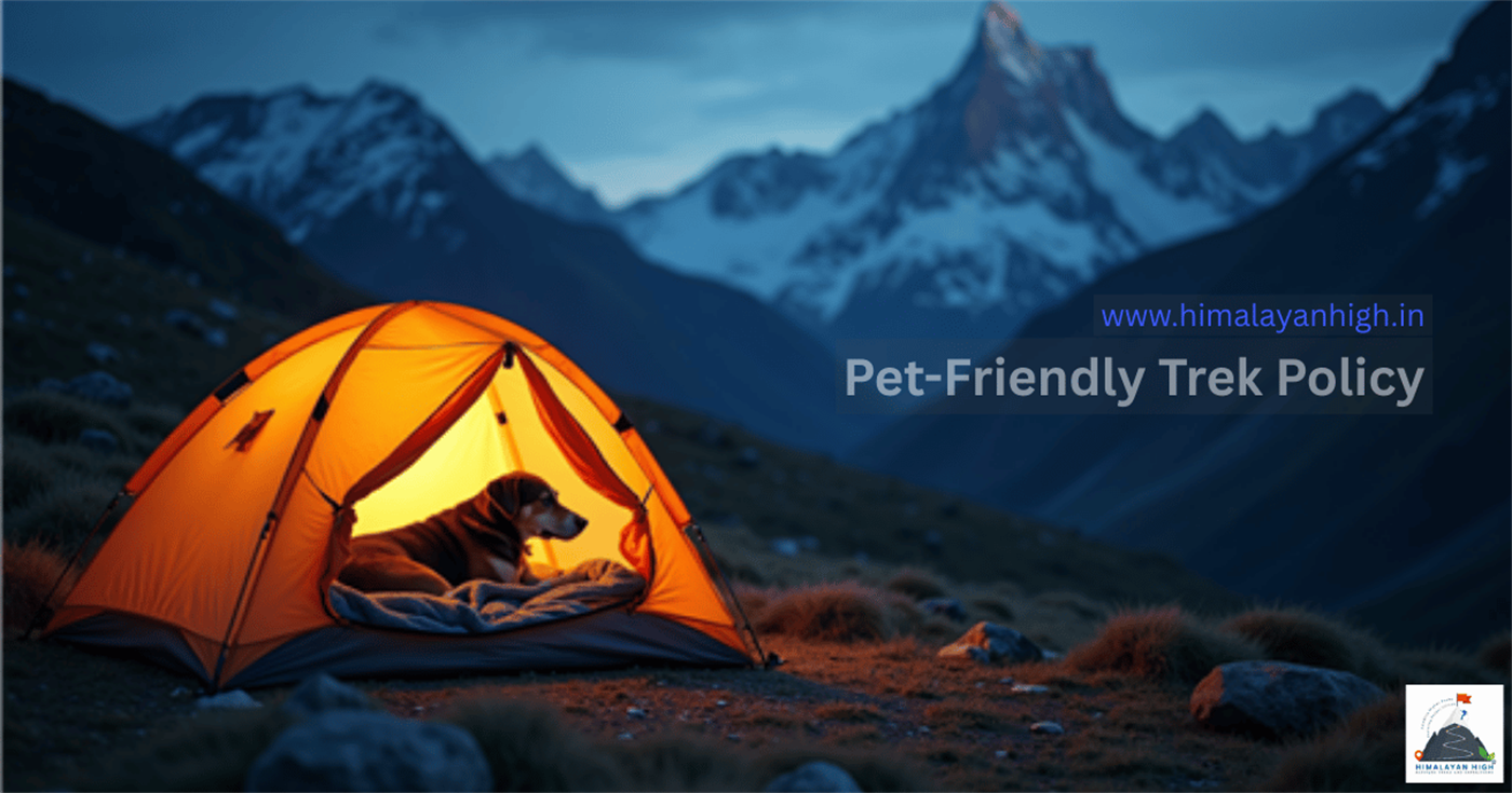 Pet-Friendly Trek Terms