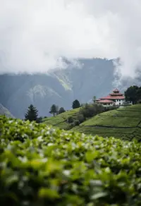 Trekking In Darjeeling & Sikkim Himalayas