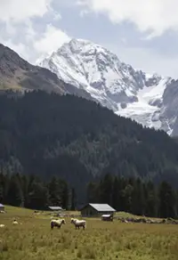 Trekking in Kanchenjunga Region
