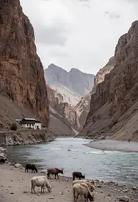 Trekking In Ladakh & Zanskar