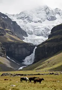 Trekking in Langtang Region