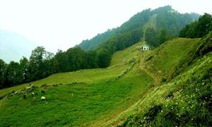 Nag Tibba Trek