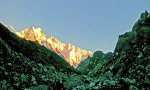 Singalila Goechala Circuit Trek