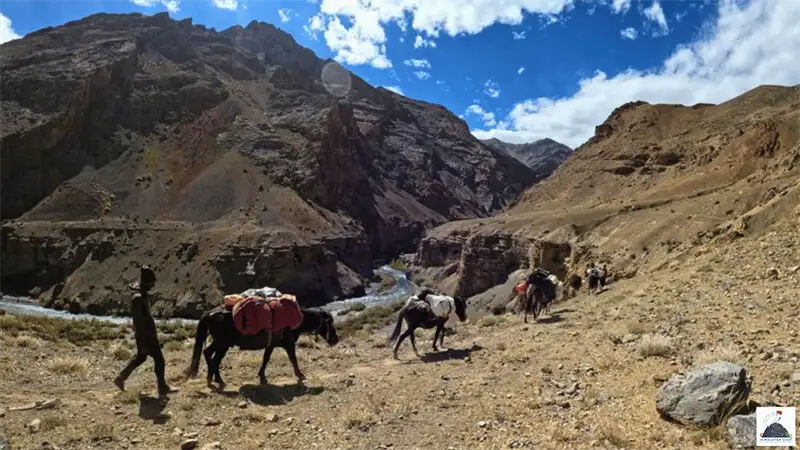 Beyond Markha Valley: Where The Zalung Karpo La Trek Really Begins