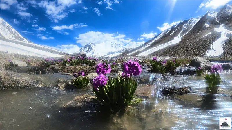 Lasermo La Trek highlights