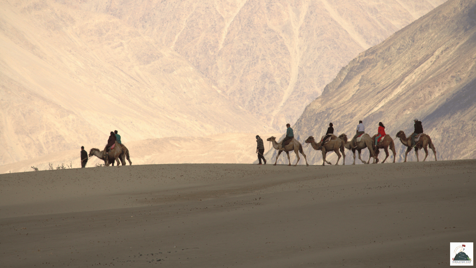 Bactrian camel riders crossing the sand dunes at Hunder in the Nubra Valley