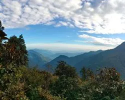 Enchanting Snow-Covered Forest Walk