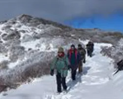 Journey Through the Snow