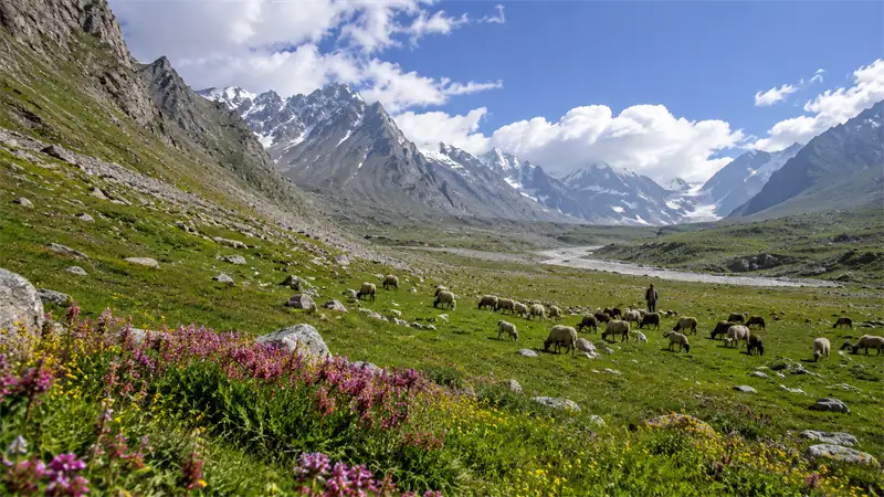 Miyar Valley Trek highlights