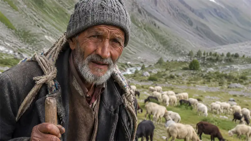 Shepherd trails, wildflowers and village life in Lahaul’s Miyar Valley