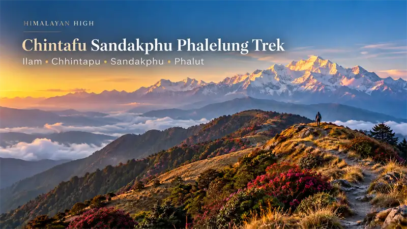 Chintafu Sandakphu Phalelung Trek introduction