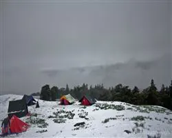 Lord Curzons Kuari Pass Trek  – 24 img 20260102140048 6 img 1529 | Himalayan High