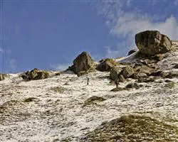 Lord Curzons Kuari Pass Trek  – 24 img 20260102140102 14 img 1698 | Himalayan High
