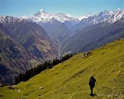 Lord Curzons Kuari Pass Trek  – 24 img 20260102140108 17 img 1729 | Himalayan High