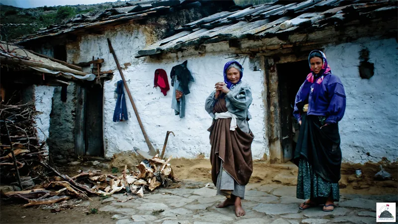 The Ronpa Tribe & the Art of Transhumance