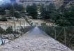 day2 photo - bagini glacier trek suspension bridge in jumma to start the trek
