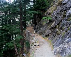 Bagini Glacier Trek – 27 img 20260101092506 20 the trail to the village of ruing | Himalayan High