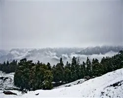 Kuari Pass Trek – 28 img 20251229211624 7 img 1532 | Himalayan High