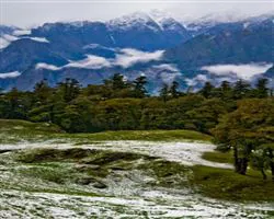 Kuari Pass Trek – 28 img 20251229211626 8 img 1545 | Himalayan High