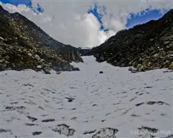 Kuari Pass Trek – 28 img 20251229211930 14 img 1774 | Himalayan High