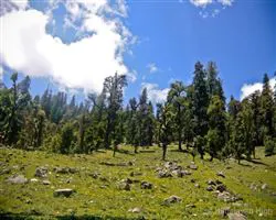 Kuari Pass Trek – 28 img 20251229211934 16 img 1792 | Himalayan High