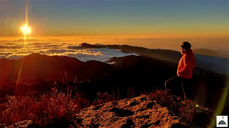 Sandakphu Phalut Trek highlights