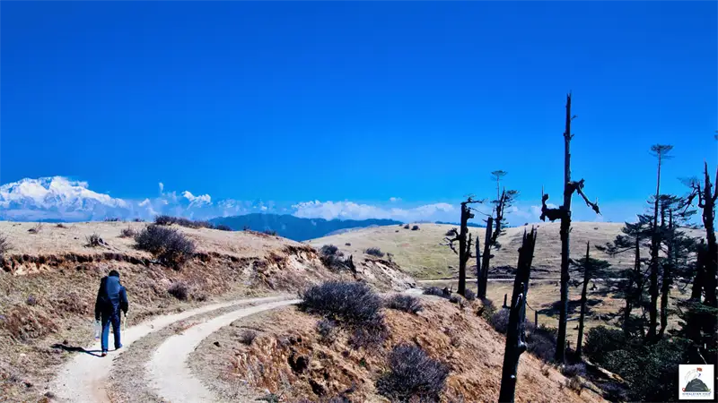 Impact Of Landrover On The Sandakphu Phalut Trek