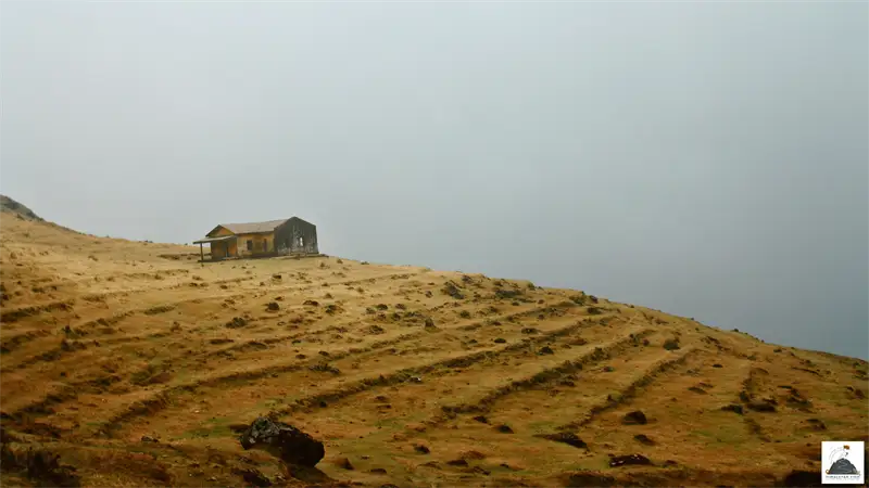 The Real Disruption: Mass Tourism vs. Local Heritage