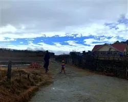 Sandakphu Phalut Trek – tonglu trekkers hut | Himalayan High