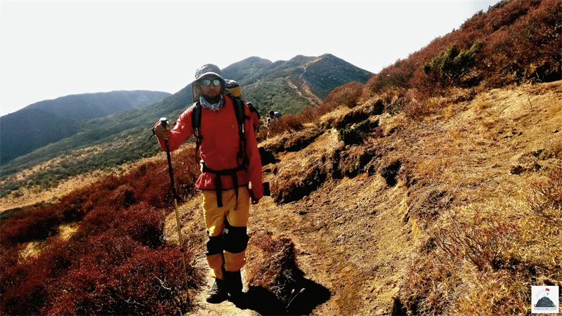  The Ultimate Digital Detox on Our Goecha La - Kasturi La Circuit Trek 