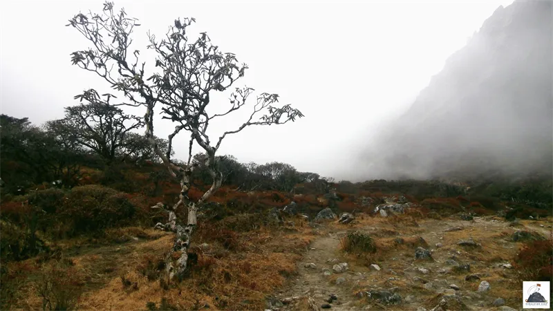  Who Is the Goecha La - Kasturi Circuit Trek Meant For? 