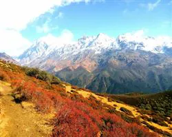 Goecha La - Kasturi La Circuit Trek – 43 img 20260106173038 4 prek chu valley | Himalayan High