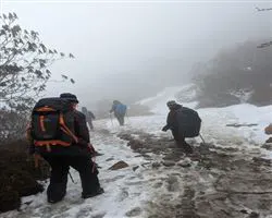Goecha La - Kasturi La Circuit Trek – 43 img 20260106173058 14 snow on dzongri tyrek | Himalayan High