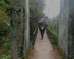 Dzongri La Trek – crossing prekchu bridhe | Himalayan High