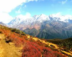 Dzongri La Trek – prek chu valley | Himalayan High