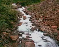 Dzongri La Trek – 45 img 20260105170558 13 river | Himalayan High