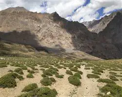 Parang La Trek – 56 img 20260310095841 3 parangla trek images 20 | Himalayan High