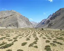 Parang La Trek – 56 img 20260310095933 4 parangla trek images 37 | Himalayan High