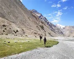 Parang La Trek – 56 img 20260310095937 7 parangla trek images 40 | Himalayan High