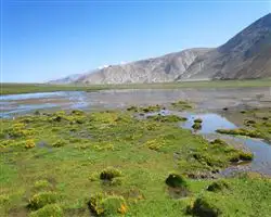 Parang La Trek – 56 img 20260310095945 12 parangla trek images 45 | Himalayan High