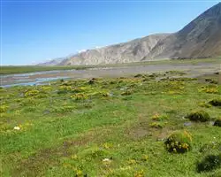 Parang La Trek – 56 img 20260310095947 13 parangla trek images 46 | Himalayan High