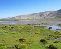 Wild Kiangs of Kiangdom - Parangla Trek