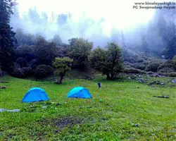 Pangarchula Peak Trek – 58 img 20251231210602 6 in lap of nature | Himalayan High