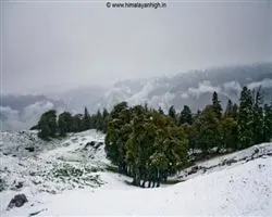 Pangarchula Peak Trek – 58 img 20251231210613 13 snow changes the face | Himalayan High