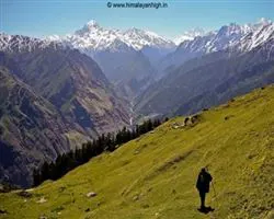 Pangarchula Peak Trek – 58 img 20251231210620 17 the shepherd kingdom | Himalayan High