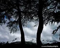Pangarchula Peak Trek – 58 img 20251231210621 18 the window of solace | Himalayan High