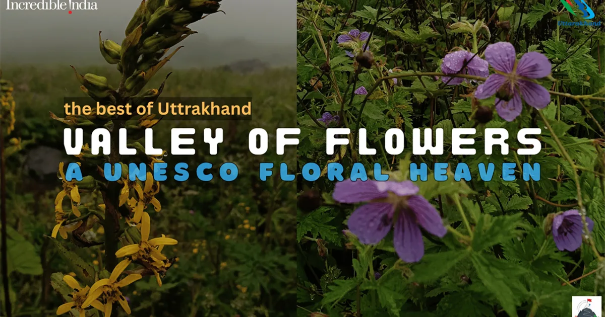 Interest thread for Valley of Flowers Hemkund Trek